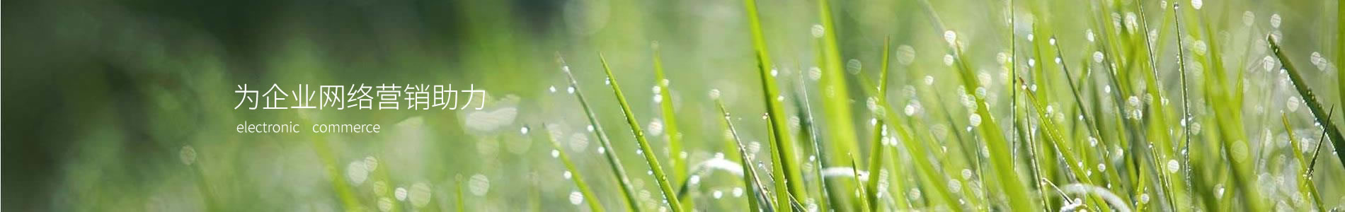 տůܿƼ޹˾